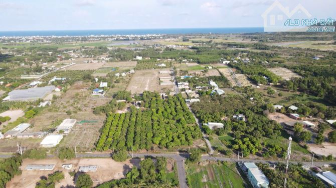 BÁN 3 LÔ LIỀN KỀ NGANG 10M SẴN VƯỜN XOÀI - TT PHƯỚC HẢI ,LONG ĐẤT - 2