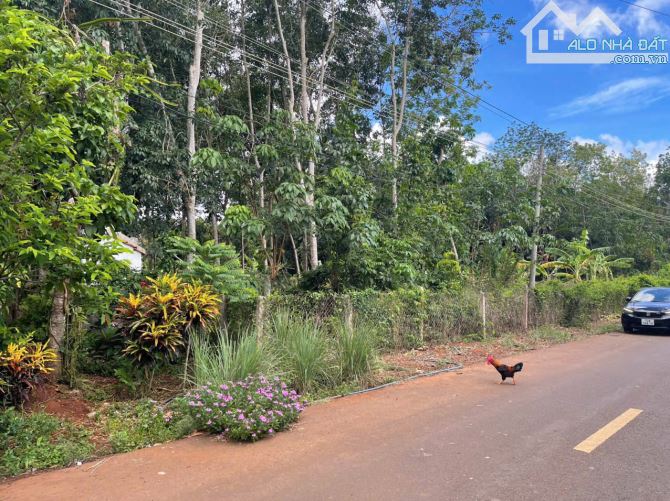 CẦN BÁN LÔ ĐẤT MẶT TIỀN ĐƯỜNG SỐ 90 TDT:1103m2 – XÃ LONG PHƯỚC, TP. BÀ RỊA – VŨNG TÀU - 2