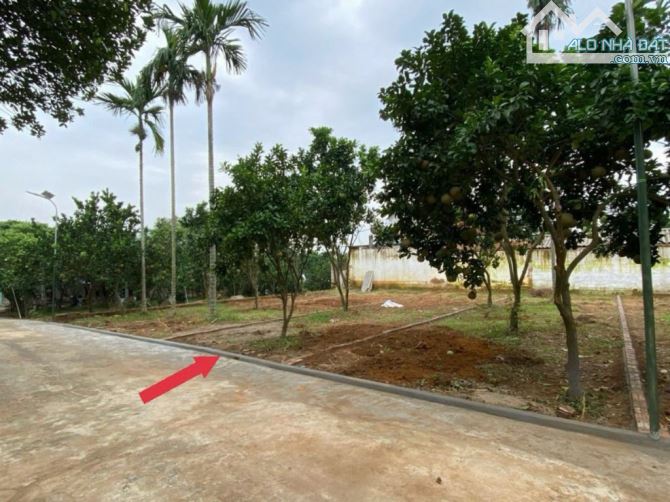 CẦN BÁN ĐẤT THỔ CƯ ,CHÍNH CHỦ ,KHÔNG QUA TRUNG GIAN . - 2