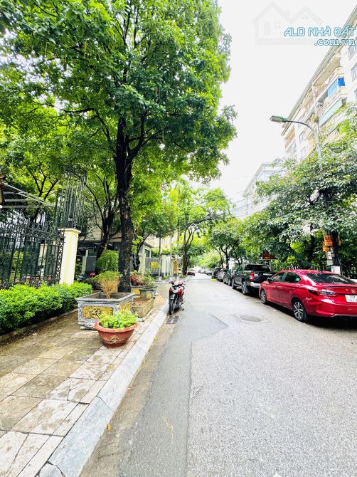 (HIẾM) Biệt Thự Cầu Giấy, 236m2, 5 tầng, mt 30m, giá 125 tỷ - 2