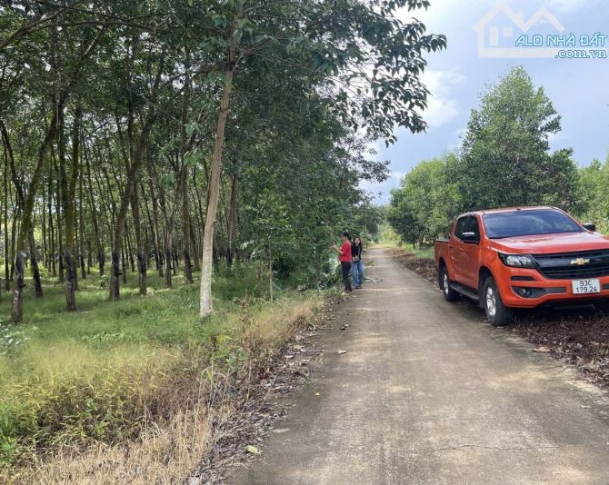 10x45 Tc 100m đường bê tông giá 490tr - 2