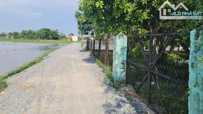 Bán đất 12.4 x 55m (682m2) ấp Bình Lợi, xã Hòa Khánh Đông, Đức Hòa, Long An giá 3.6 tỷ - 6