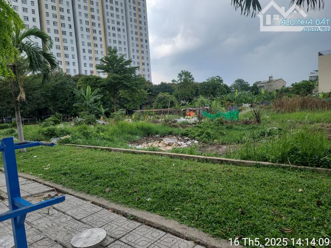 Bán đất khu dân cư Savico p Tam Bình Tp Thủ Đức - 3