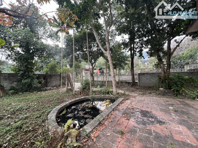 Cần bán 928m2 View đẹp xã Lâm Sơn, Lương Sơn, Hoà Bình - 3