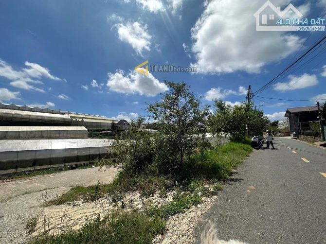 🔥 Chỉ hơn 7tỷ sở hữu hơn 300m2 Đất Xây Dựng mặt tiền P7 Đà Lạt - ngang 10.5m - 3