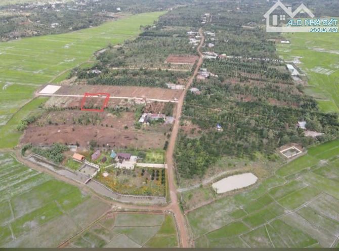 25x40m ĐẤT THỔ CƯ VIEW RUỘNG TẠI CƯSUE GIÁ RẺ NHẤT KHU VỰC - 3