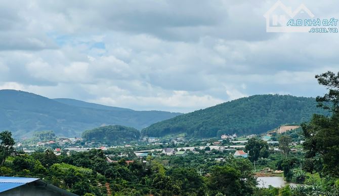 Đất nghỉ dưỡng ven Đà Lạt view thị trấn Nam Ban mới có sổ và thổ cư - 4