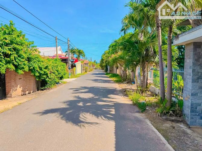 VƯỜN ĐIỀU ĐANG CHO THU HOẠCH, MẶT TIỀN ĐƯỜNG NHỰA, PHỦ HỒNG, CẦN TIỀN BÁN NHANH - 5