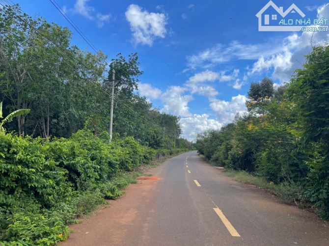 CẦN BÁN LÔ ĐẤT MẶT TIỀN ĐƯỜNG SỐ 90 TDT:1103m2 – XÃ LONG PHƯỚC, TP. BÀ RỊA – VŨNG TÀU - 5