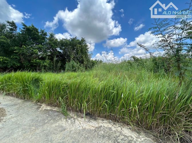 ✅ Bán đất thổ 2 mặt tiền ở Khu Phố Nhơn Hoà , Phường 5 , TP Tân An _DT: 5.8 x 28.6 hậu 6.9 - 6