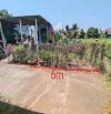 chủ gửi bán lô đất thôn Thượng, xã Diên Lâm. Diên Khánh