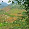 Chỉ 1,8 tỷ,gần 8000 Mai Châu,bám đường 432 khoảng 50m,gần hồ Sam Tạng,view núi rừng hùng v