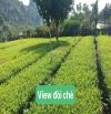 Hàng hiếm, Bán Lô đất Phú Thành, Lạc Thuỷ, Gần QL21, Lô Góc, Kinh doanh DT 105m2, Full thổ