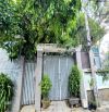 BÁN NHÀ MẶT TIỀN KINH DOANH + 4 Phòng Trọ Gần Chợ Lý Văn Sâm Phường Tam Hiệp, Biên Hòa
