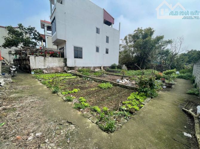 🏠Hướng Dương - Thắng lợi - Thường Tín - Hà Nội  **Diện tích : 48m