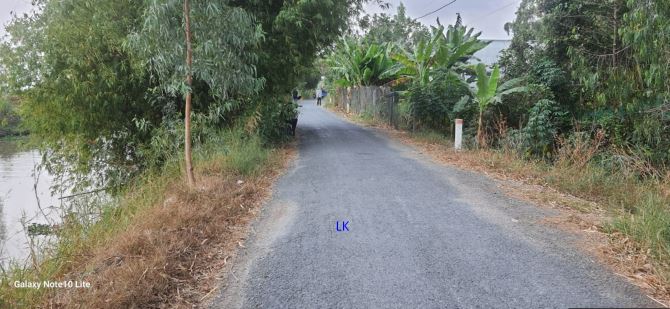 🔰Bán đất lúa: 15.000m² (Mặt tiền 23m, nở hậu L) 🔰Đường nhựa 3.5m, xã Láng Biển
