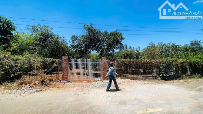bán Vườn Trái Cây siêu víp 20m đường nhựa trung tâm Long Tân - Long Đất-BRVT