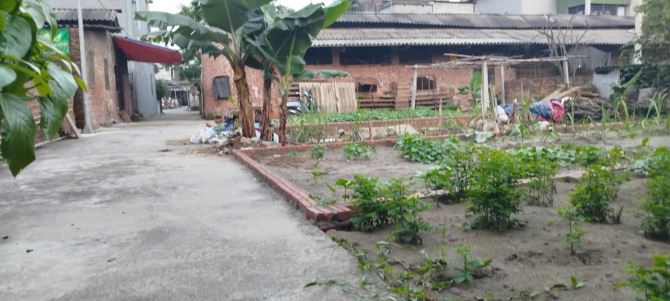 LÔ ĐẤT ĐẸP VUÔNG VẮN TẠI XUÂN NỘN – CHỈ 2.88 TỶ – Ô TÔ CÁCH NHÀ 20M! 🧨