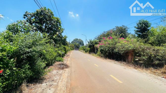 BÁN LÔ ĐẤTNHÀ VƯỜN  MẶT TIỀN NHỰA SAU CHỢ LONG TÂN - 20X60M GIÁ 3,2 TỶ