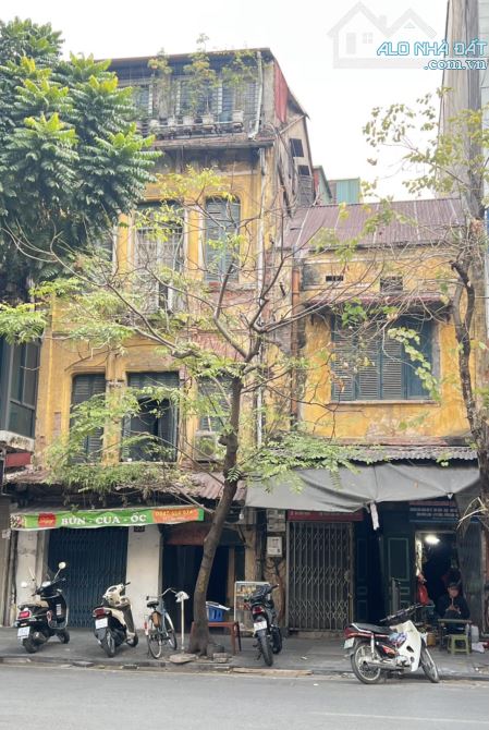 NHÀ RIÊNG 5PN, 5WC PHỐ CỬA NAM PHÙ HỢP KHAI THÁC HOMESTAY CÓ SÂN GIÁ LINH HOẠT