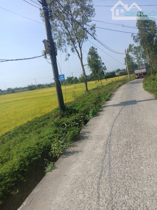 Lô đất Nhơn Thọ 1 – Hòa Phước – gần Trường Nguyễn Văn Linh