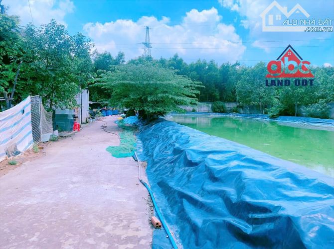bán 2000m2 đất Xã Thiện Tân - có có thổ cư - qui hoạch đất ở - giá 5tỉ990 triệu