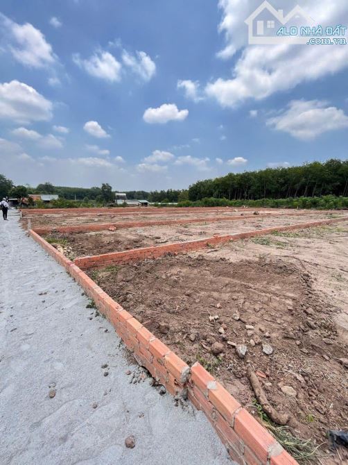 Bán cặp đất 10 x 50 An Linh Phú Giáo Binh Dương ngay Cụm KCN An Linh chỉ 580 triệu