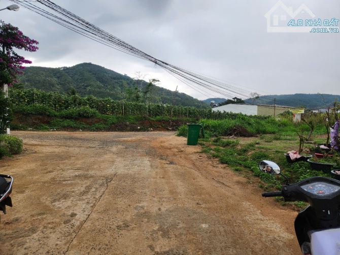Bán 137,1m2 đất thị trấn liên nghĩa đức trọng lâm đồng 1,2 tỷ gần sân bay liên khương