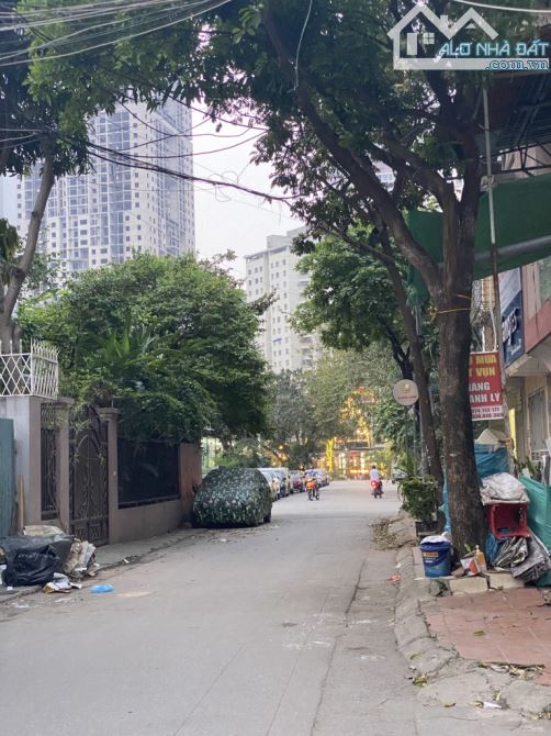 7 tầng thang máy , cây quýt la khê hà đông