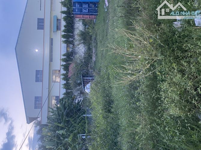 300m2 thổ cư, tiện xây trọ, kho, xưởng kết hợp nhà ở, đường hiện hữu 6m