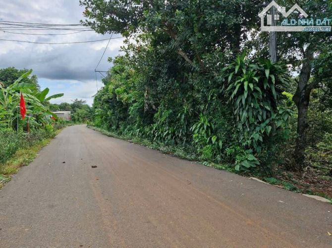 Bán lô đất 1 mẫu 6 gần KCN Cù Bị – mặt tiền nhựa 200m, có 300m² thổ cư, sổ liền tay