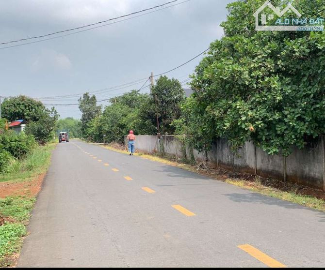 Bán 2700m2 ở ĐỊNH AN DẦU TIẾNG BÌNH DƯƠNG giá 900 triệu, thương lượng
