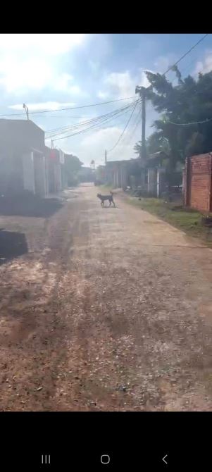 Đất hẻm đường Đoàn Kết thôn 17 xã Hoà Khánh