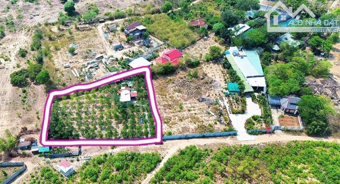 Căn Nhà Vườn Giá Rẻ Ngay Gần Thành Phố Bà Rịa Cần Bán  ✅Địa chỉ xã Tam An - Long Đất - BRV