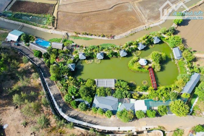 ❌❌❌FARM STAY 1 MẪU 1 GẦN HỒ TRÀM CẦN CHUYỂN NHƯỢNG