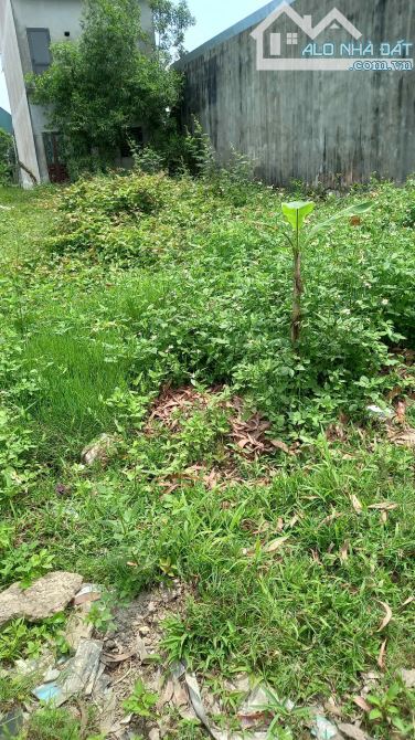 🔥 BÁN ĐẤT MẶT TIỀN LÊ CÔNG HÀNH – PHƯỜNG AN TÂY – TP. HUẾ 100m² – Ngang 5m