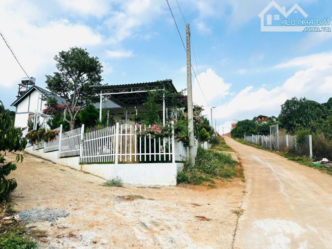 👊Bán đất Mê Linh giáp Đà Lạt 250m2 giá chỉ 699tr. - 10
