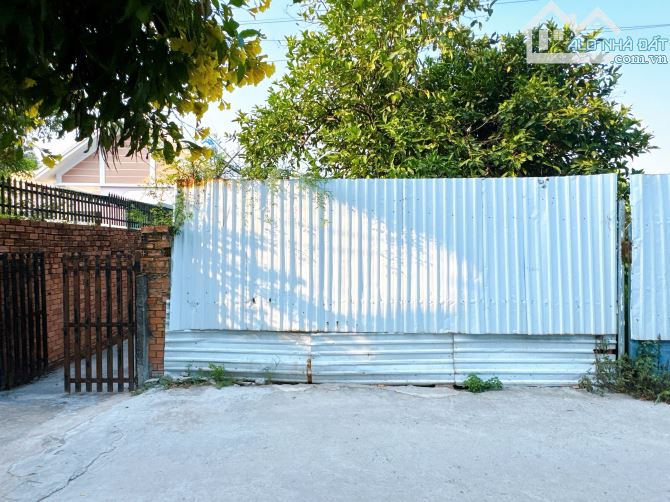 Bán lô đất Ngang 6m trung tâm Cv 30/4 Hẻm Sao Mai P.Tân Biên .Tp Biên Hoà - 10