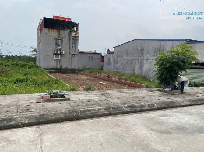 💥 Hàng hiếm !!! Lô 22 khu phân lô Vườn Ổi - Lâm Động, Hướng Đông, đường 12,5m - 1
