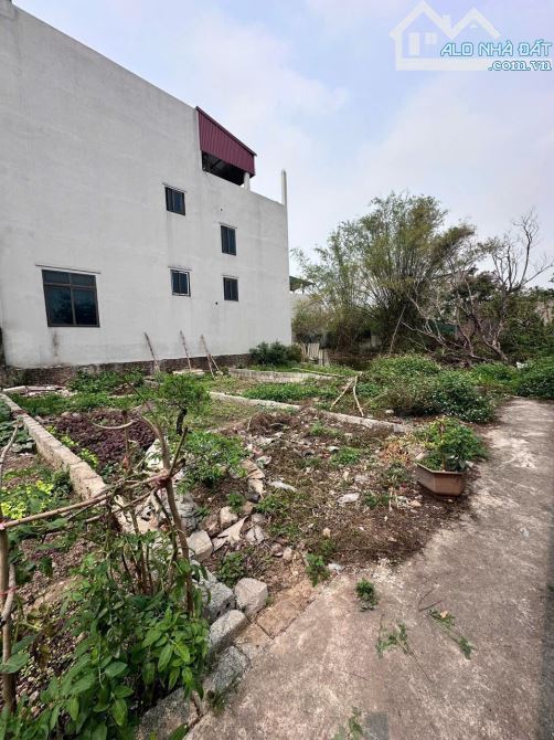 🏠Hướng Dương - Thắng lợi - Thường Tín - Hà Nội  **Diện tích : 48m - 1