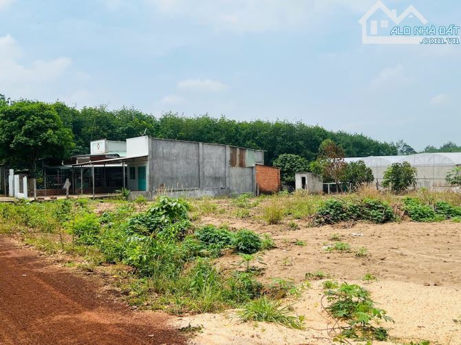 BÁN GẤP MIẾNG ĐẤT 5*30 SẴN THỔ CƯ, SHR,MẶT TIỀN ĐƯỜNG NHỰA, KHU DÂN CƯ ĐÔNG,GIÁ 470TR - 1