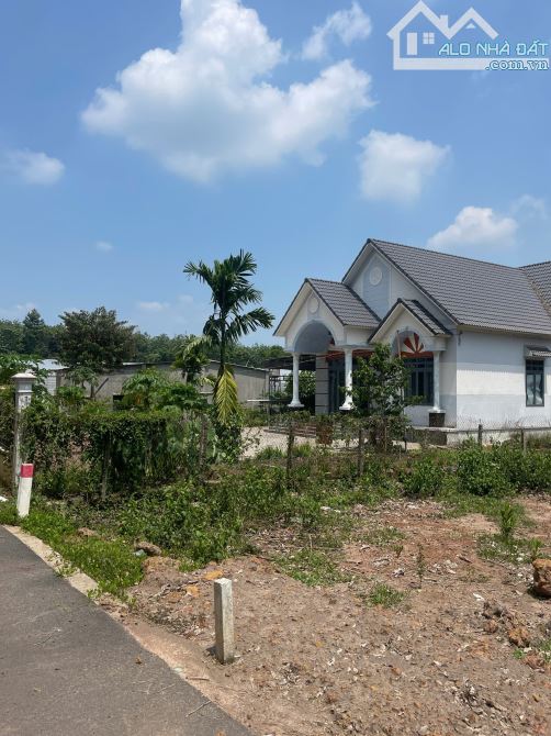 TÌM CHỦ NHÂN MỚI CHO MIẾNG ĐẤT 250M2 GIÁ 500TR,SHR,MẶT TIỀN ĐƯỜNG,KHU DÂN CƯ ĐÔNG - 1