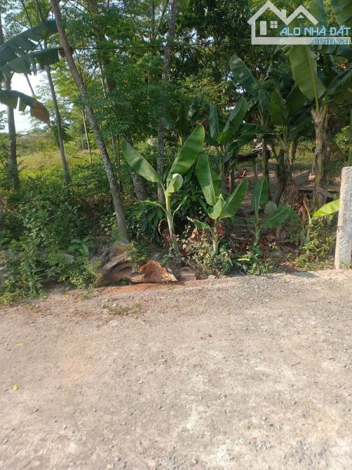 Lô đất Nhơn Thọ 1 – Hòa Phước – gần Trường Nguyễn Văn Linh - 1