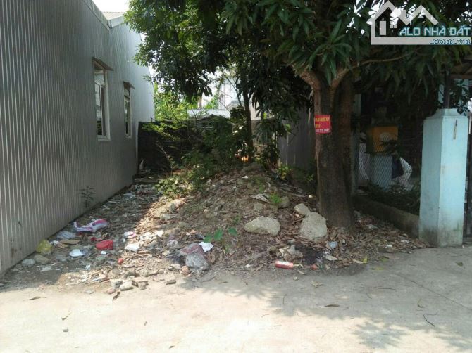 ĐẤT XÓM 8 DƯỠNG MONG, PHÚ MỸ OTO VÀO TẬN NƠI - 1,6X TỶ - 1