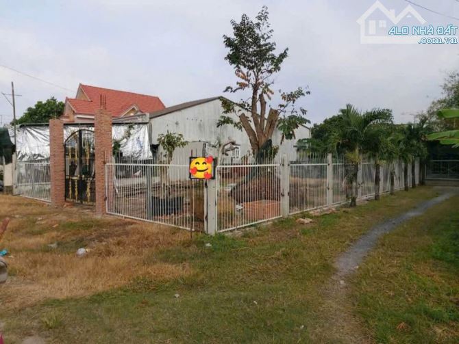 GIA ĐÌNH CẦN TIỀN XOAY KHÔNG KỊP BÁN LỖ ĐẮT MẶT TIỀN TL7 THÁI MỸ CỦ CHI 152M2 GIÁ 450 TR - 1