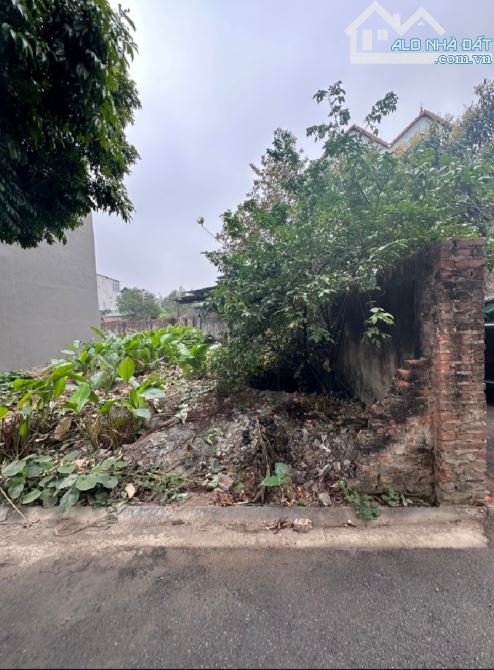 6.6 Tỷ/75 M2/5 Mt/ Dương Đức Hiền. PHÚ thị. Gia lâm.Ô tô chánh - 1