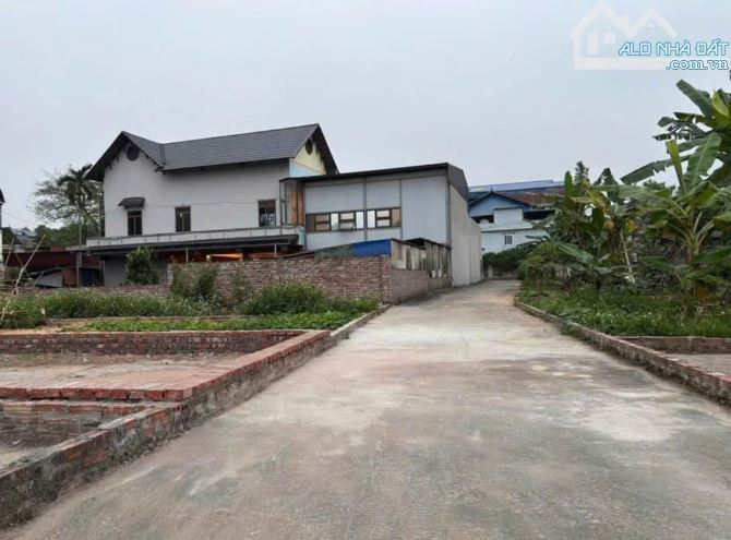 Thắng Trí , Minh Trí- Sóc Sơn -HN-76m=1ty7 - 1