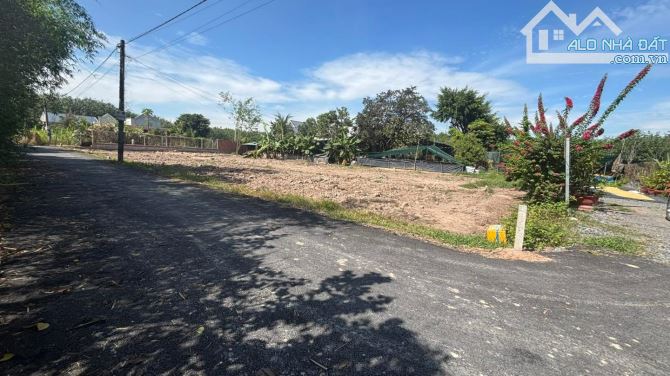 chính chủ bán 20m ngang đất thổ sổ hồng đường tỉnh lộ 2 kênh đông củ chi - 1