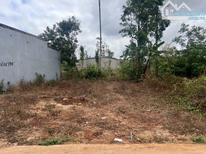 Đất thổ cư hẻm 451 Ymol số mới số cũ là 434 Ymol rẻ trái - 1