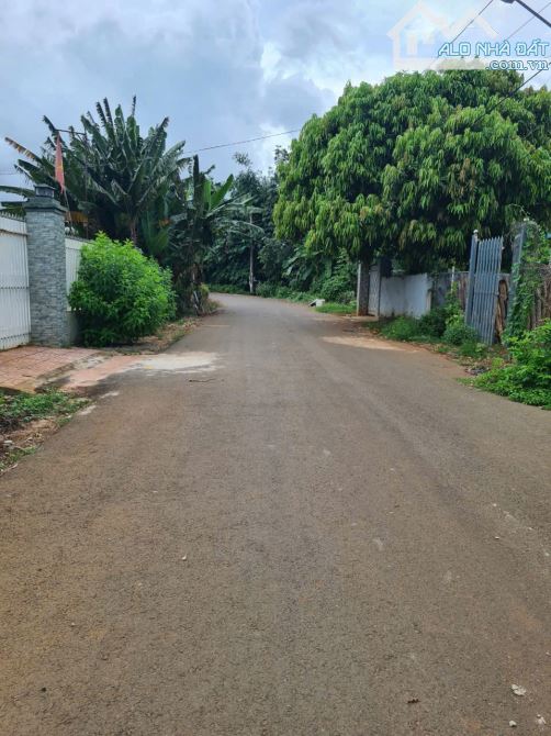🎯 CẦN BÁN LÔ ĐẤT ĐẸP – DIỆN TÍCH 1.008 m² – XÃ HÒA LONG, TP. BÀ RỊA - 1